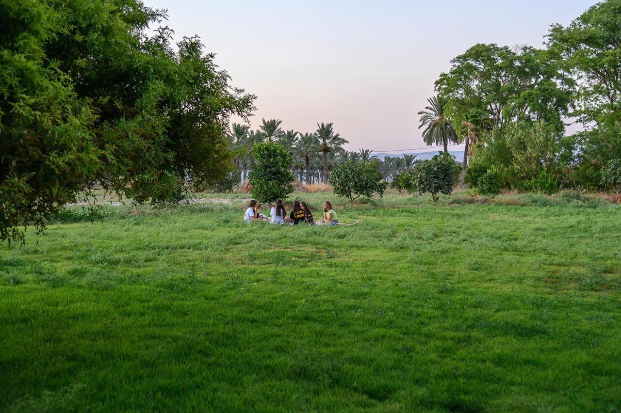 כפר רופין Jordan Valley Birding Lodge מראה חיצוני תמונה
