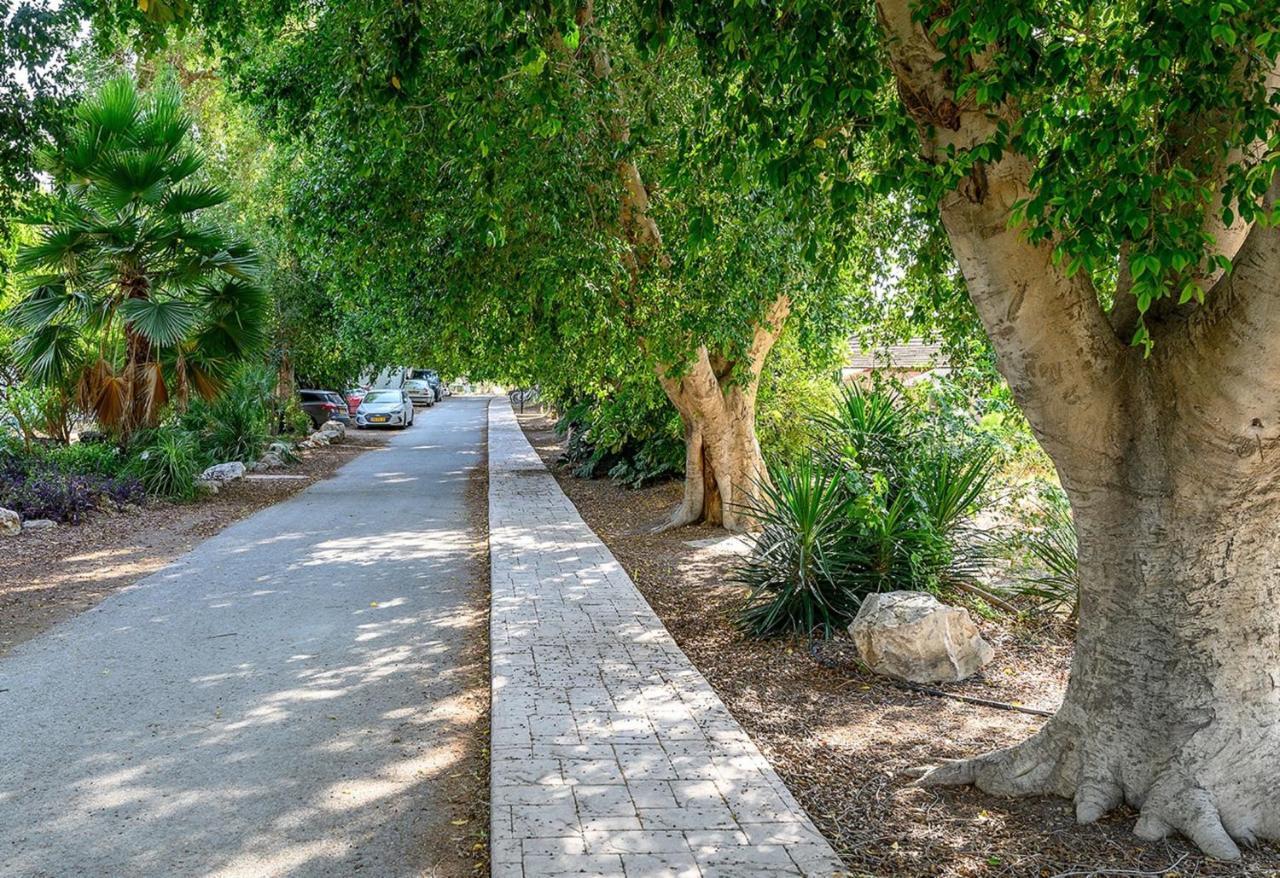 כפר רופין Jordan Valley Birding Lodge מראה חיצוני תמונה