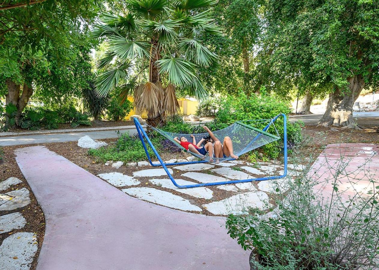 כפר רופין Jordan Valley Birding Lodge מראה חיצוני תמונה