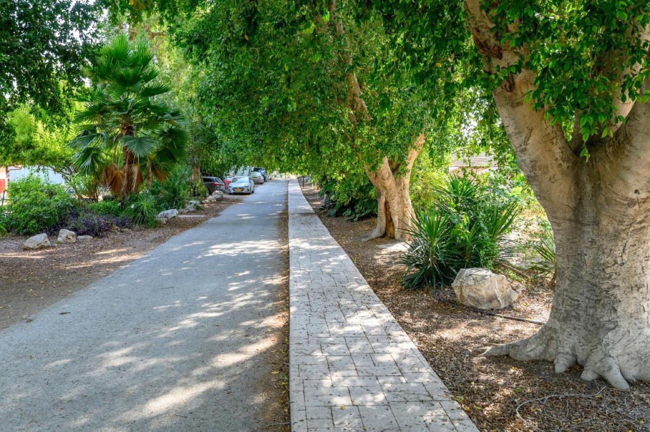כפר רופין Jordan Valley Birding Lodge מראה חיצוני תמונה