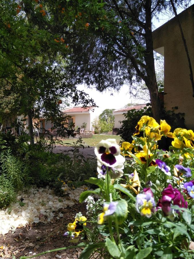 כפר רופין Jordan Valley Birding Lodge מראה חיצוני תמונה